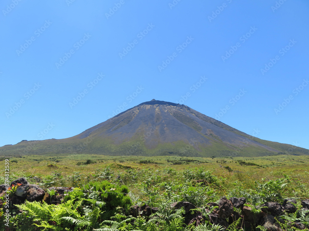Fototapeta premium pico mountain with crater and clear blue sky - Pico Island, Azores - Portugal