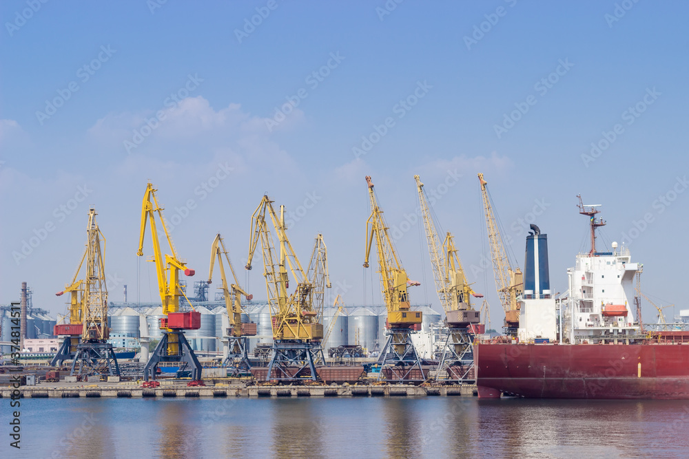 Sea port with dry cargo and grain terminals, harbor cranes