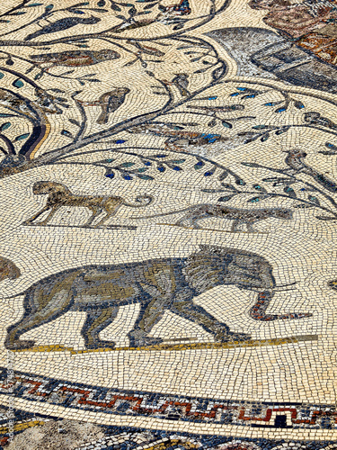 Mosaicos de la casa de orfeo.Ciudad Romana de Volubilis(II d.c.), yacimiento arqueologico.Marruecos.