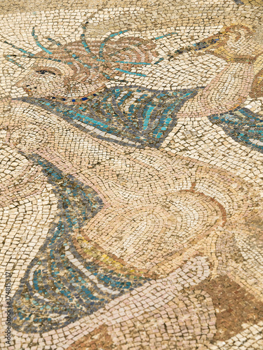 Ninfa.Mosaicos de la casa de Venus,"el secuestro de Hilas por las Ninfas".Ciudad Romana de Volubilis(II d.c.).Marruecos.
