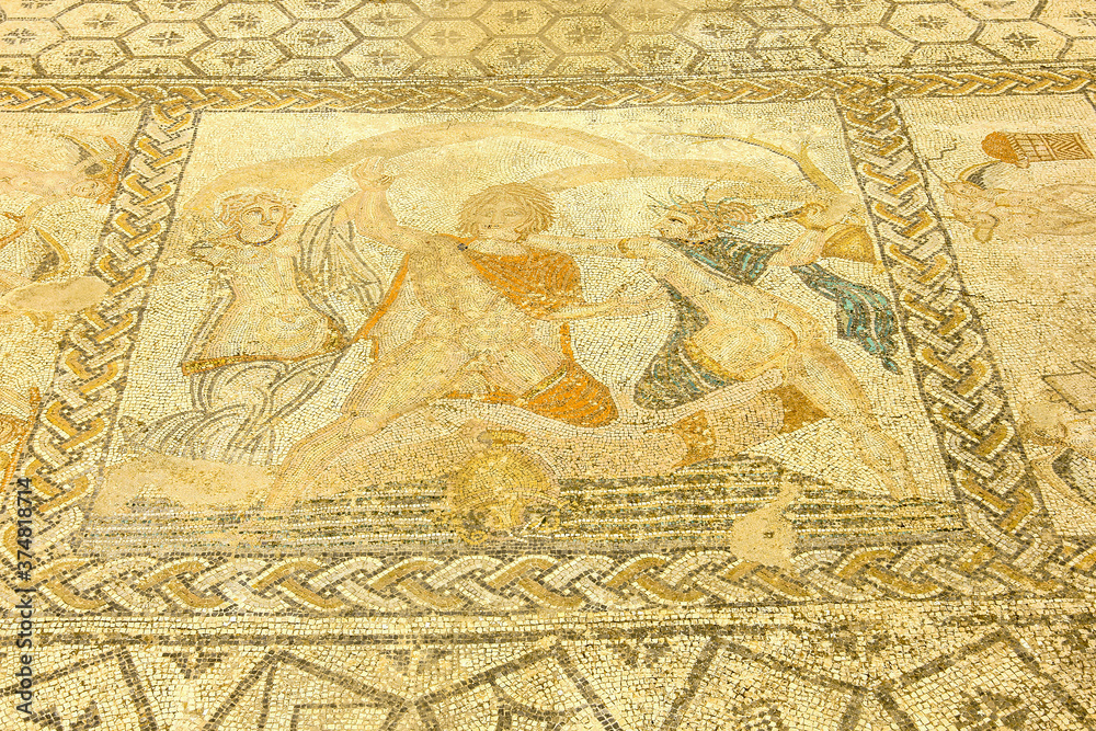 Naklejka premium Mosaicos de la casa de Venus,