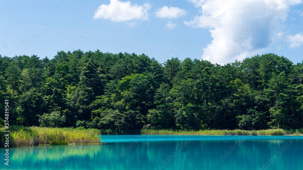 Fototapeta premium 【裏磐梯・五色沼】弁天沼の風景／磐梯朝日国立公園（福島県）