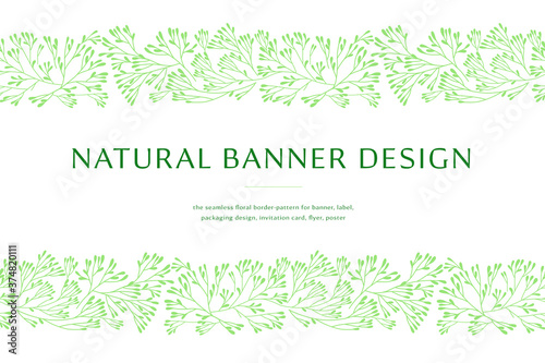 Vector herbal banner with drawings of herbs. Natural cosmetic label. Leaf silhouette for eco store, healthy food. Botanical border for bio pattern, herbal medicine with organic illustrations.