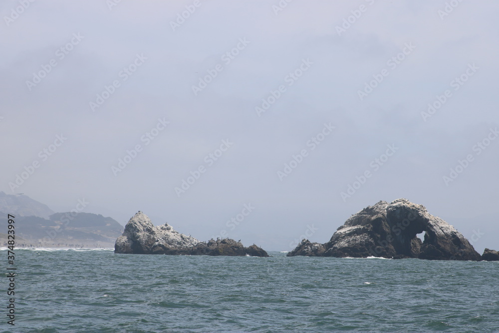 Seal Rocks from the Ocean