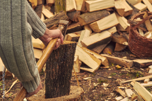 Woodcutter in the woods cuts a large tree with an ax.  © Kitja