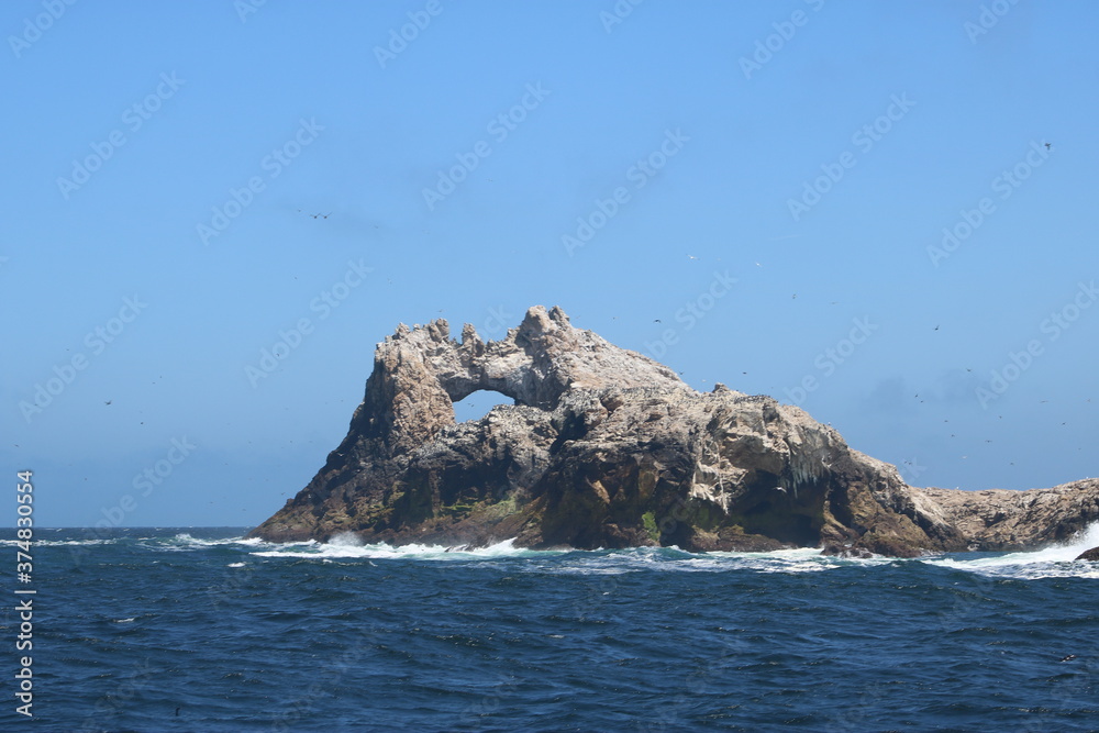 Farallon Island Whale Watching Tour Farallon Island Whale Watching Tour
