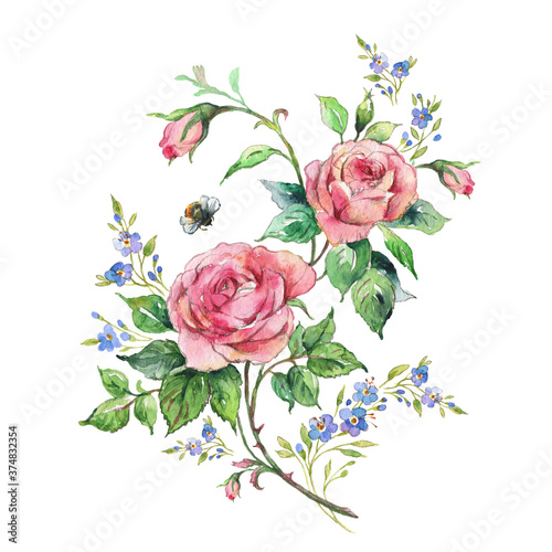  Stylish sketch on paper with a pencil and paints roses and bumblebee