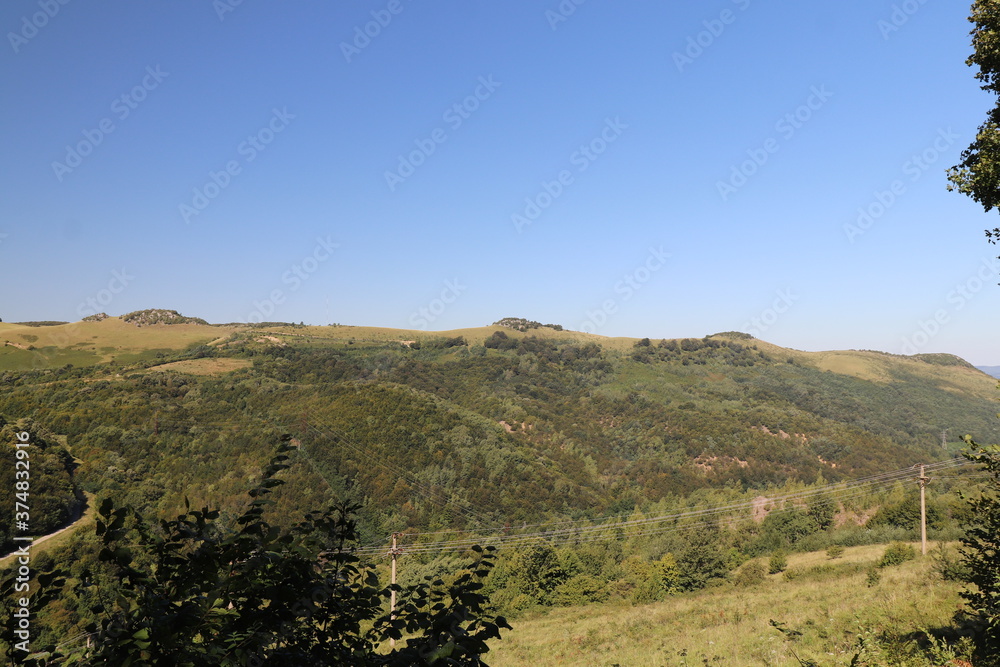 Obraz premium vineyard in autumn
