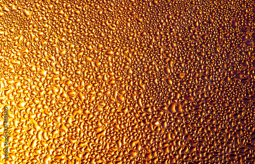 Drops of water on a glass in the golden rays of the sun.