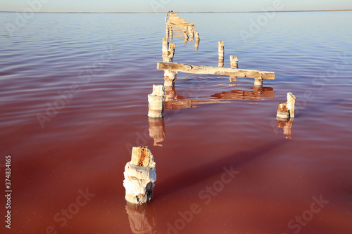 Salt lake Sasyk Sivash in Crimea photo