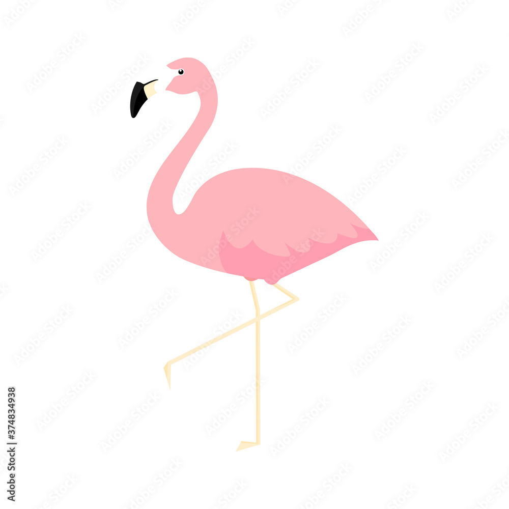 Pink cute flamingo. Flamingo cartoon vector illustration isolated on white background