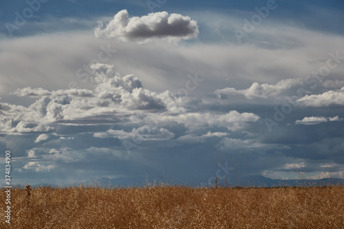 cumulus over the field near Santorcaz in the Community of Madrid. Spain