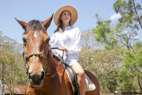 Beautiful young woman riding a horse, summer time outdoor activity