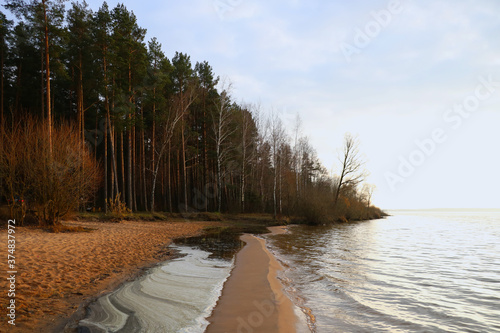 The coastal line of the reservoir next to the forest. © Dzmitry
