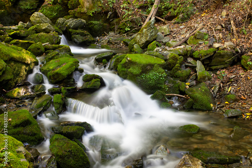 Water flow in a mossy valley