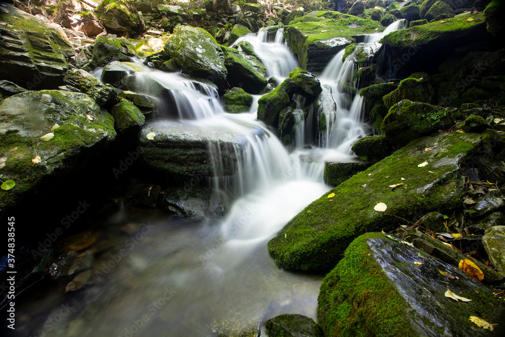 Water flow in a mossy valley