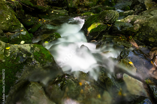 Water flow in a mossy valley