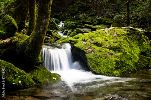 Water flow in a mossy valley