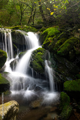 Fototapeta Naklejka Na Ścianę i Meble -  Water flow in a mossy valley