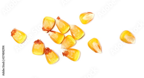 Corn kernels pile isolated on white background, top view