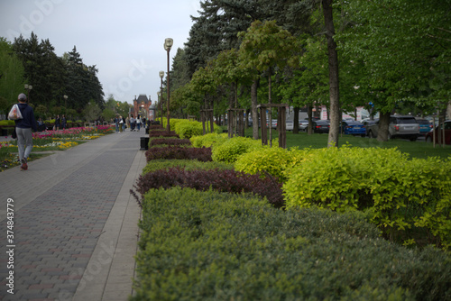 park in the city
