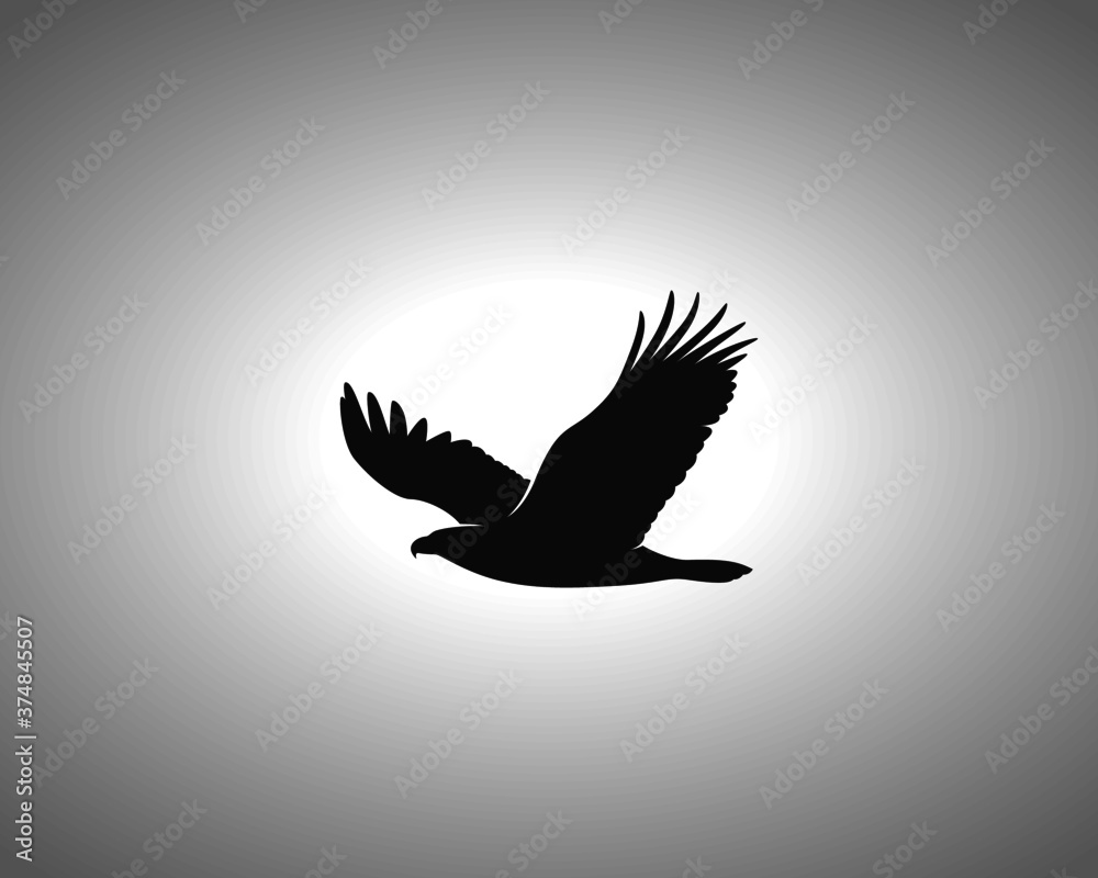 Obraz premium Eagle Silhouette on White Background. Isolated Vector Animal Template for Logo Company, Icon, Symbol etc