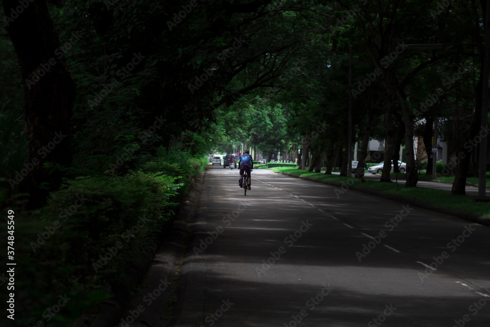 Cyclists through dense trees