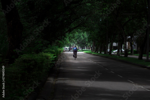 Cyclists through dense trees