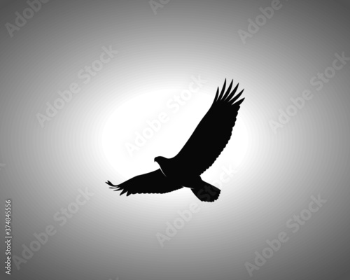 Eagle Silhouette on White Background. Isolated Vector Animal Template for Logo Company, Icon, Symbol etc