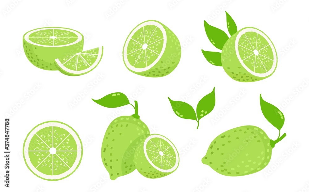 Lime fruits. Citrus slices, isolated green lemons. Fresh vitamin c vector illustration. Citrus lemon, ripe lime juice, fruit food
