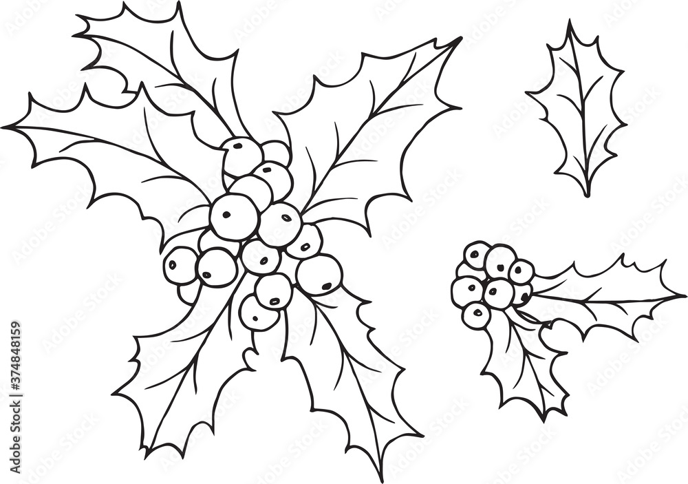Naklejka premium New Year theme, holly. Vector illustration, isolated image on a white background. Branch of red mistletoe. Coloring page.
