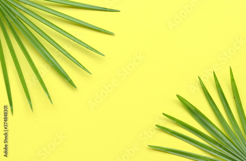 Tropical palm leaves frame on  yellow background.