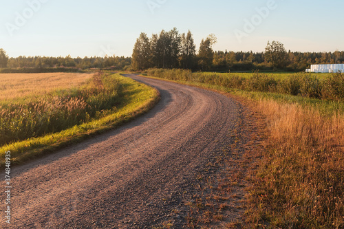 Winding Road In The Autumn Sunset