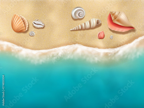 Seaside top view. Sun beach with seashells on sand near ocean water vector realistic background. Ocean seaside tropical sand, relax beach illustration