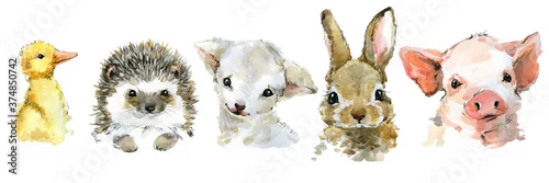 Panel kuchenny z motywem cute funny little animals watercolor set