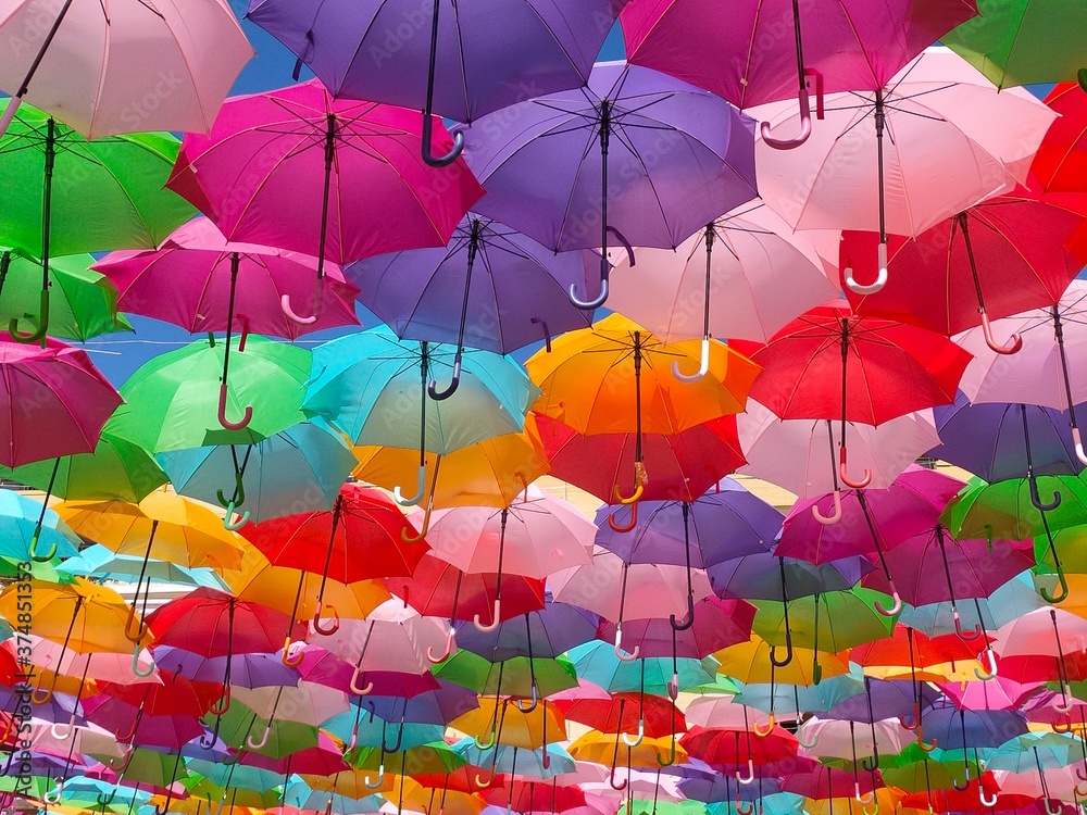 Naklejka premium parapluies