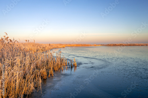 Landscape of the Dutch National Park Biesbosch in wintertime