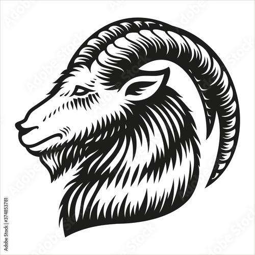 Capricorn zodiac sign vector illustration isolated on white background