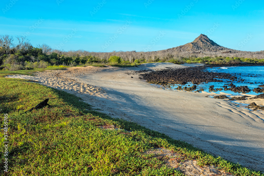Dragon Hill, Santa Cruz Island, Galapagos, Ecuador, Unesco World