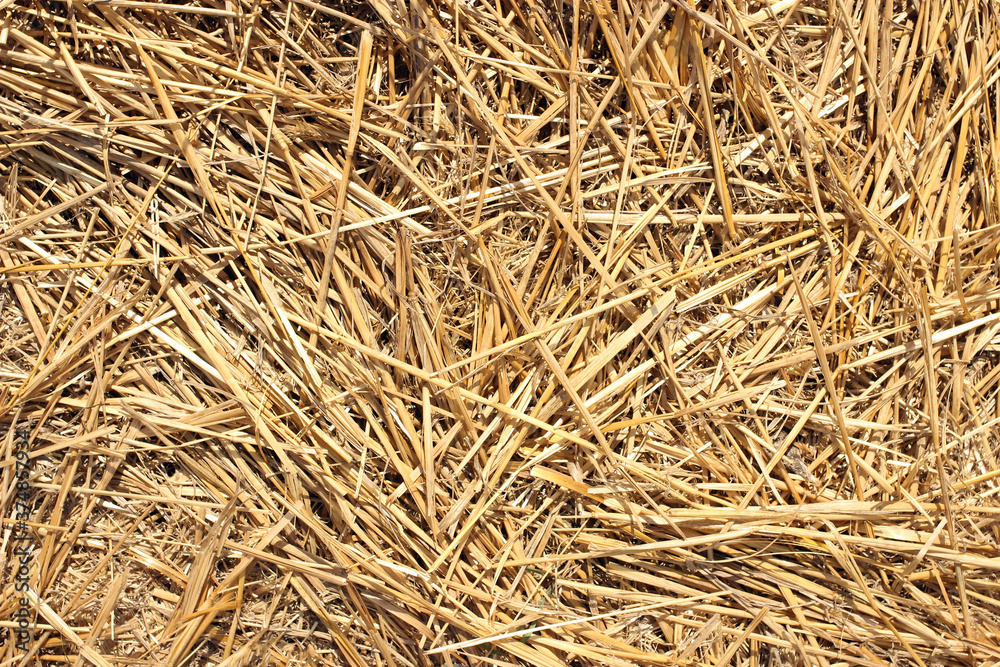 dry straw texture background, the pattern