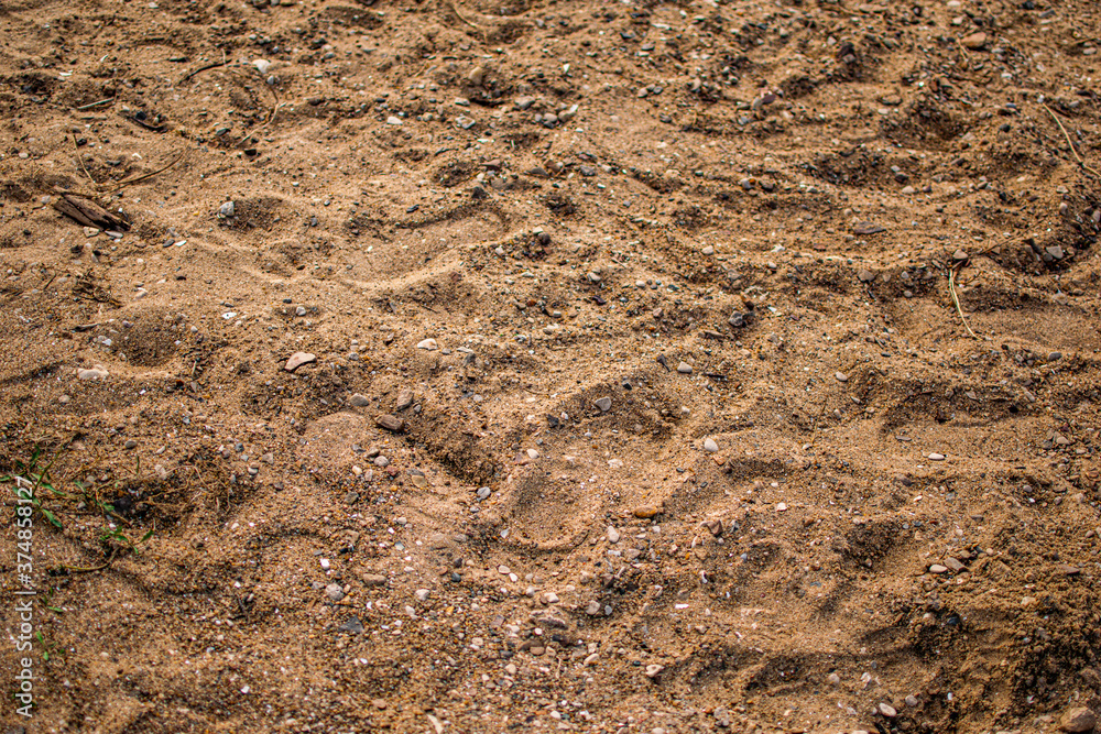 soil in the ground soil in the ground