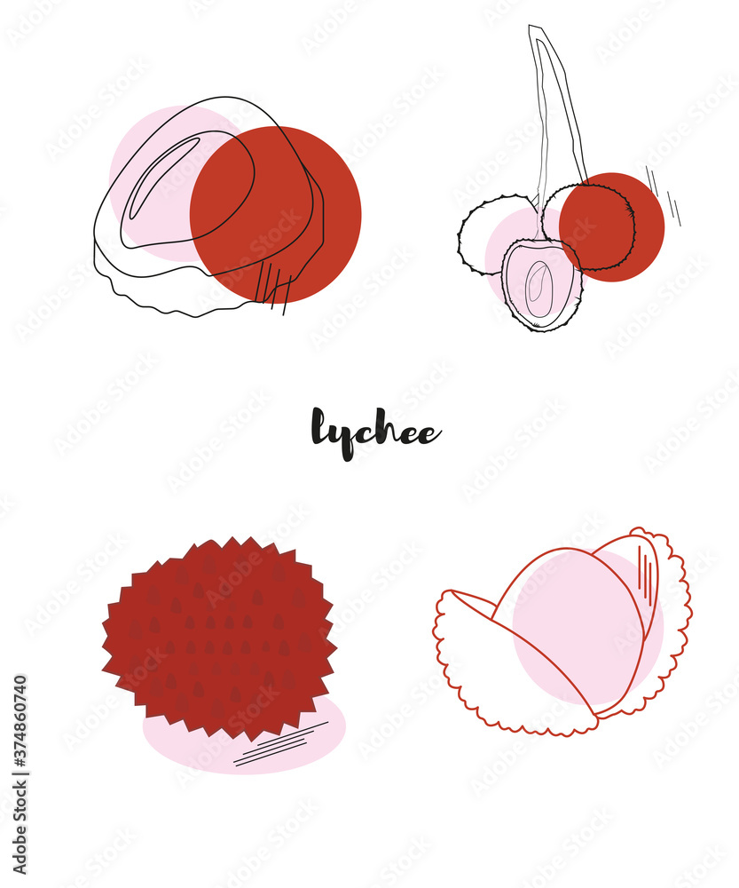 Fototapeta premium lychee in various techniques. tempting and tasty fruit