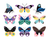 Color drawing butterfly set. Stylized multicolor butterflies and moths, colorful papillons of wildlife, vector illustration creatures of fauna isolated on white background