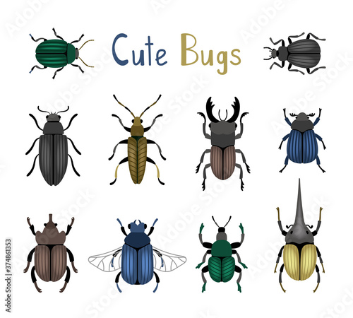 Cute bug icon set. Cartoon nature of macro insects, cute small colorful beetles, vector illustration of entomology science creatures isolated on white background
