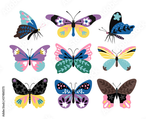 Color drawing butterfly set. Stylized multicolor butterflies and moths, colorful papillons of wildlife, vector illustration creatures of fauna isolated on white background