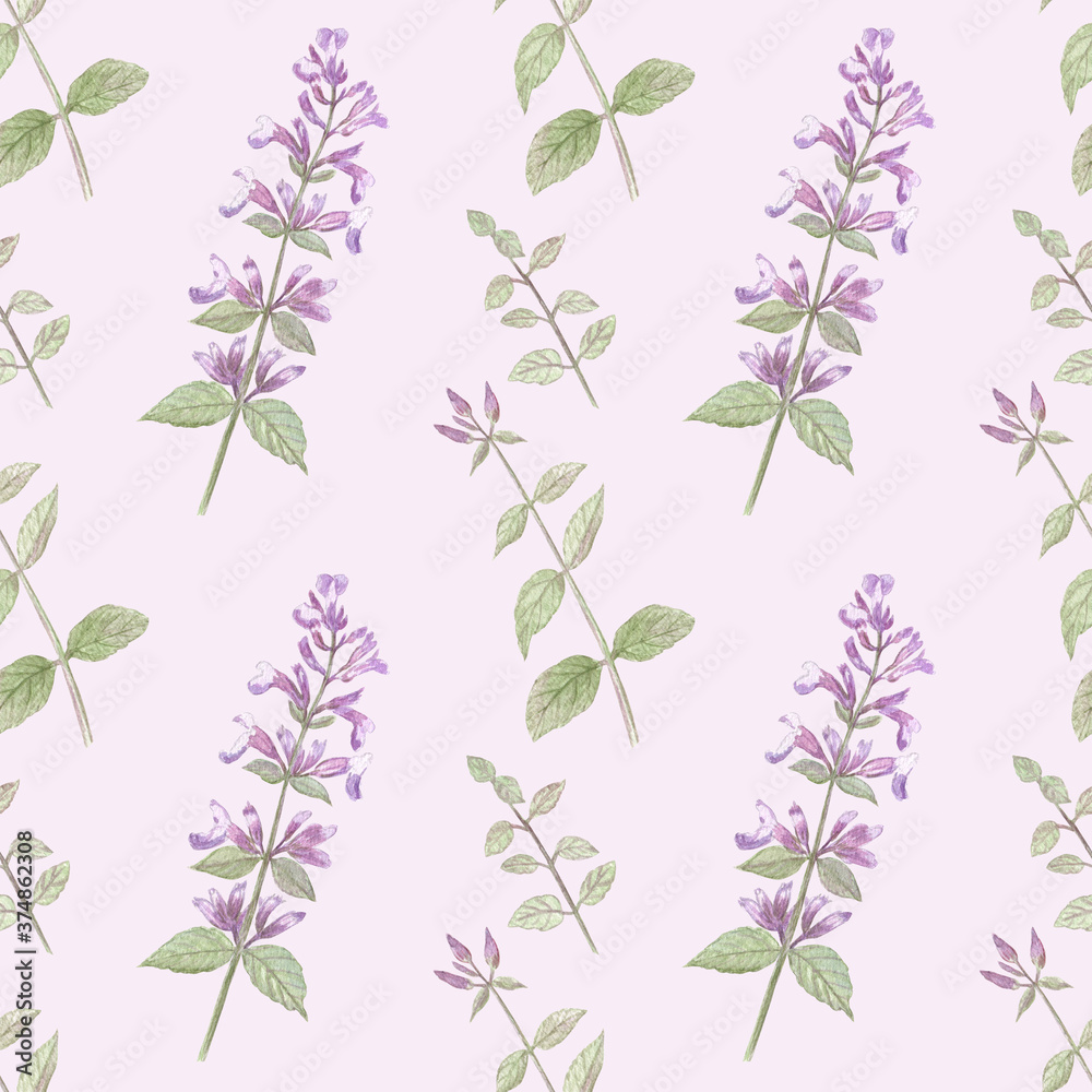 Seamless pattern with garden balm on a light lilac background. Nice and cute design for farmhouse and cottage style. Elements are hand-drawn in watercolors. Seamless pattern with garden balm on a light lilac background. Nice and cute design for farmhouse and cottage style. Elements are hand-drawn in watercolors.