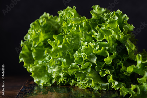 fresh large green lettuce leaves