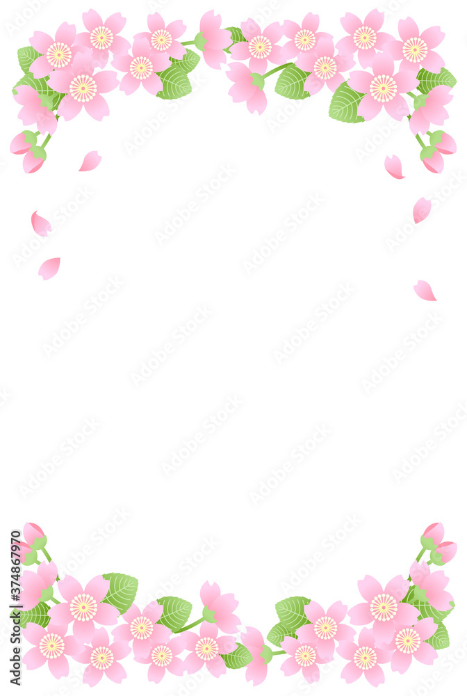 桜　壁紙素材