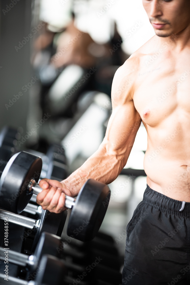 Gym fitness trainer concept, health lovers exercise in sports gym for a strong healthy body Gym fitness trainer concept, health lovers exercise in sports gym for a strong healthy body