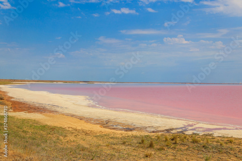 View of the pink salty Syvash lake in Kherson region, Ukraine © olyasolodenko